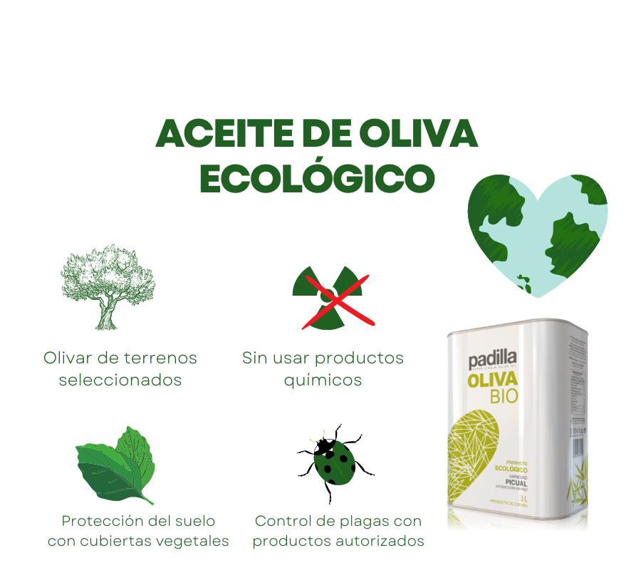 AOVE Padilla Oliva Bio. Lata 3L - VirgenExtraEnCasa