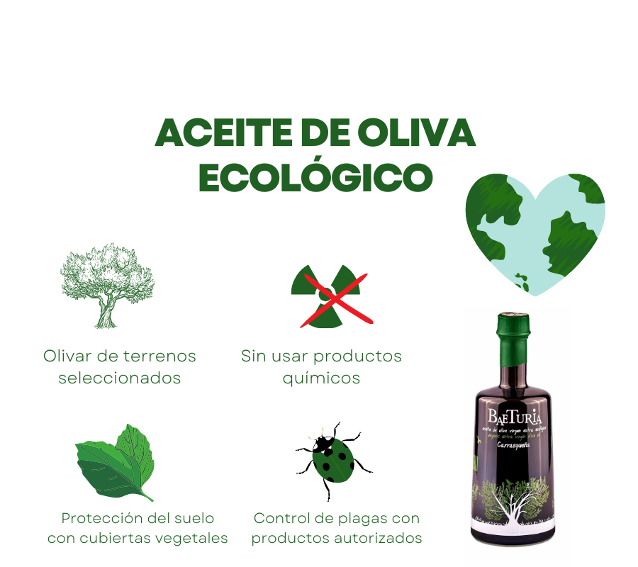 AOVE Baeturia Ecológico Carrasqueña 500ml - VirgenExtraEnCasa