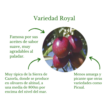 AOVE Royal. Aceites Cazorla. Lata 5 litros - VirgenExtraEnCasa