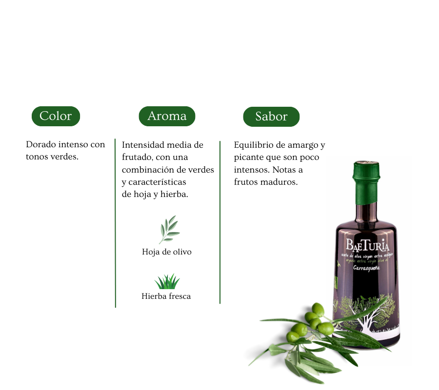 AOVE Baeturia Ecológico Carrasqueña 500ml - VirgenExtraEnCasa